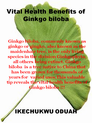 ginkgo_benefits_ikechukwu.jpg